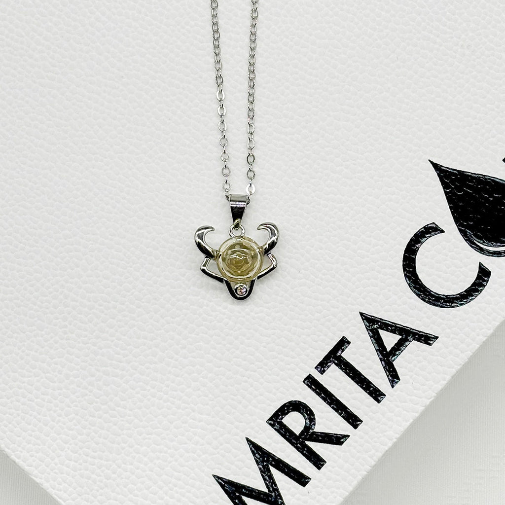Sterling Silver Zodiac Aroma Necklace - Taurus April - May | Perfect Birthday Gift | Energy & Healing | Diffuse on the go