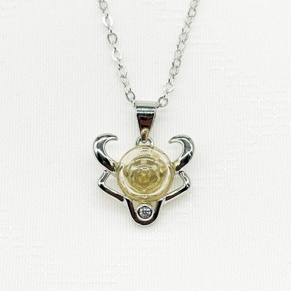 Sterling Silver Zodiac Aroma Necklace - Taurus April - May | Perfect Birthday Gift | Energy &amp; Healing | Diffuse on the go