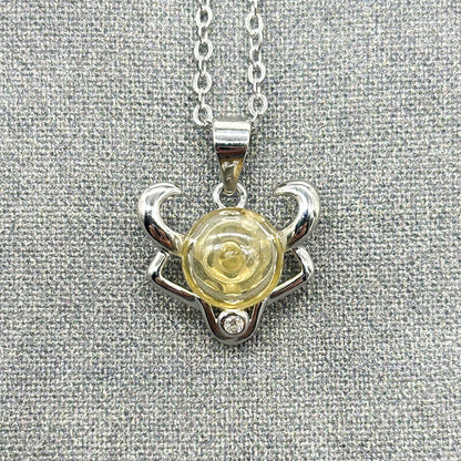 Sterling Silver Zodiac Aroma Necklace - Taurus April - May | Perfect Birthday Gift | Energy &amp; Healing | Diffuse on the go